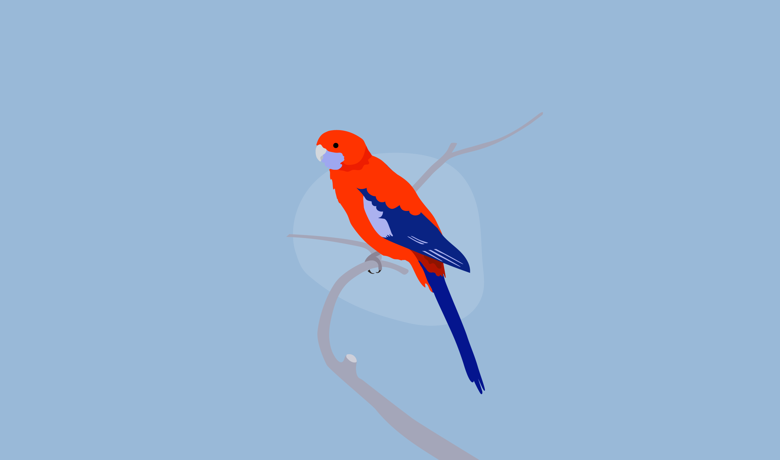 KF_PARROT_2023