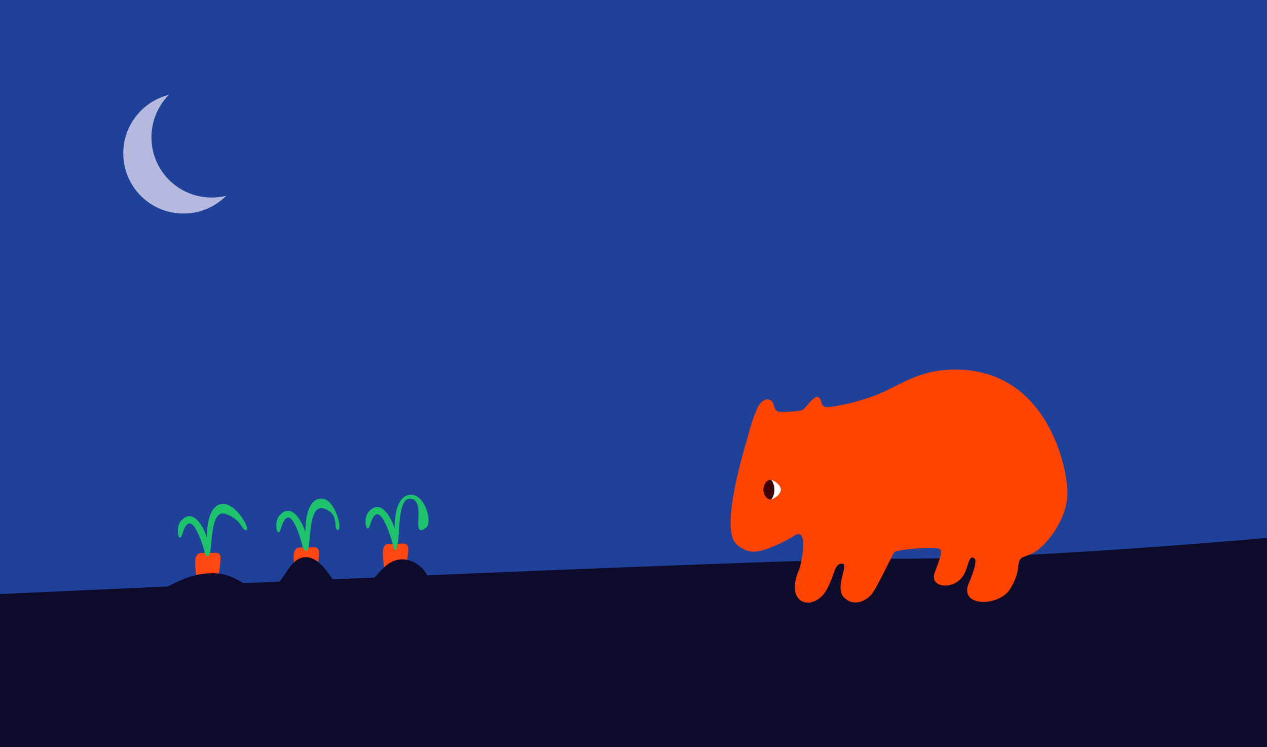 kimferguson_wombat_illustration